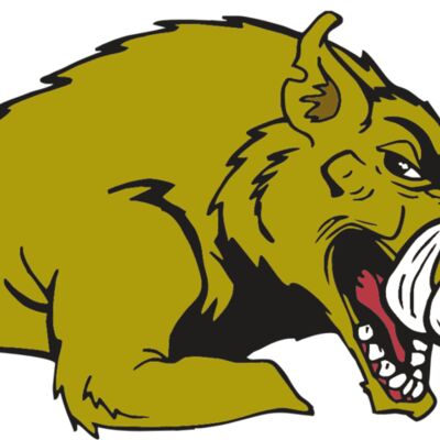 AR RAZORBACK 23 RC Thumbnail