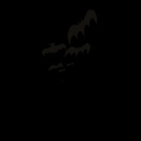 Spooky Bat Bag Design