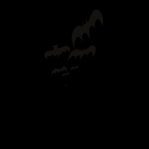 Spooky Bat Bag Design