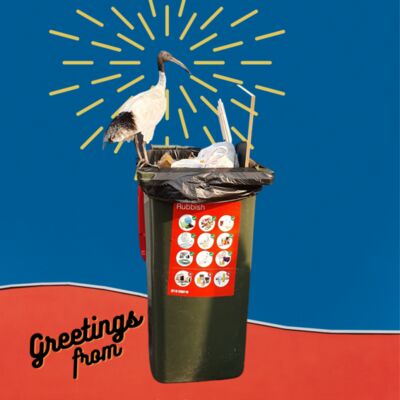 Greetings from 3 Thumbnail